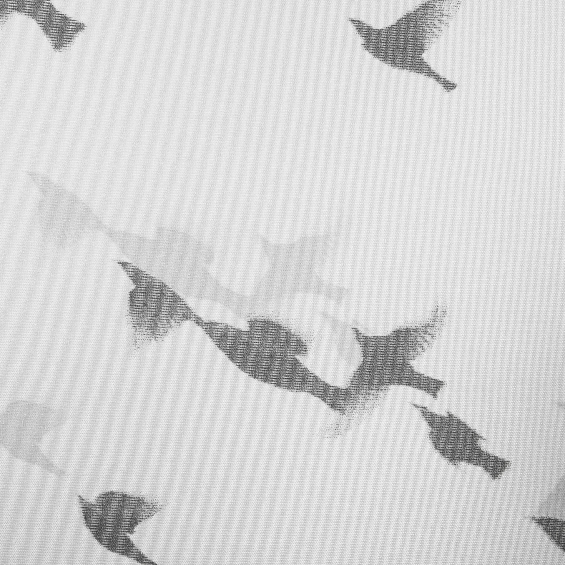 Aves de Paso Translucent Roller Blind White Fabric Detail